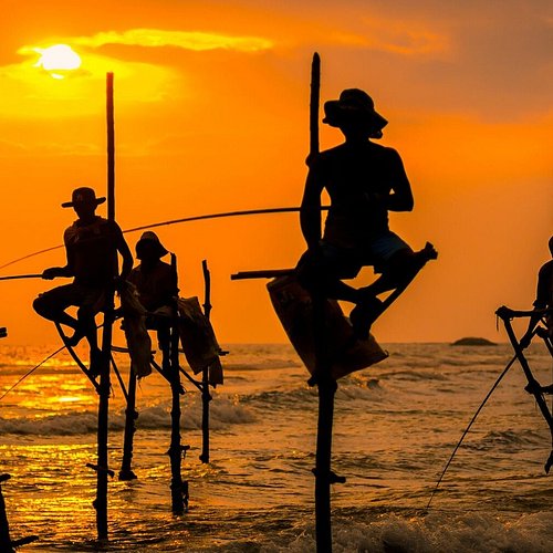 The Perfect 7-Day Sri Lanka Itinerary